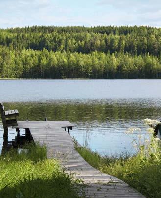 Labko BioRami 600 HARMAAVESIPUHDISTAMO seesi kohteeseesi sopiva vaihtoehto 2799,Mitoitettu 1 5 henkilölle, huoneistoala max. 150 m2.