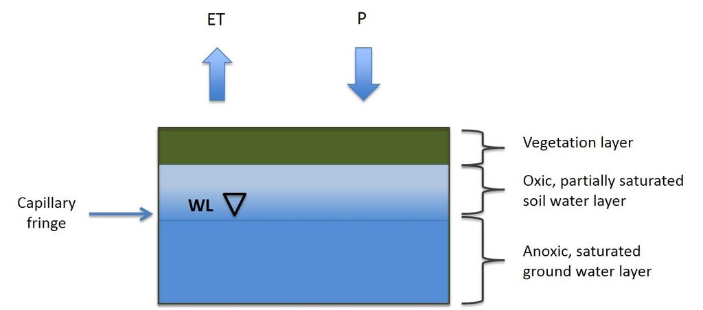 19 where P is precipitation, QSW in is surface water inflow, QGW in is groundwater inflow, ET is evapotranspiration, QSW out is surface water outflow, QGW out is groundwater outflow and ΔS is change