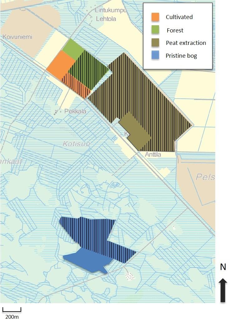 33 Figure 8. Study sites location in Pelso, Vaala. Runoff areas used in this study are rasterized. Pristine bog (blue colour) is located to south from three other study sites.