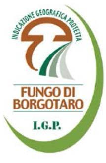 1.6. FUNGO DI BORGOTARO (SMM, 1996) Luonnonvarainen herkkutatti Italiassa o Boletus aestivalis, Boletus pinícola, Boletus aereus ja Boletus edulis.