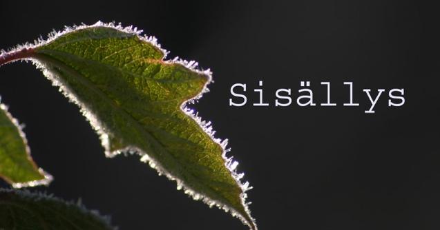 PERHONEN, maaliskuu 2019 Alkoholistien aikuisten lasten tiedotuslehti... 2 Sisällys... 3 Alkusanat:.... 4 Rajoistani... 5 Eheyttä etsimässä... 7 Runoja... 8 Tiedotteita... 9 Tulevia tapahtumia.