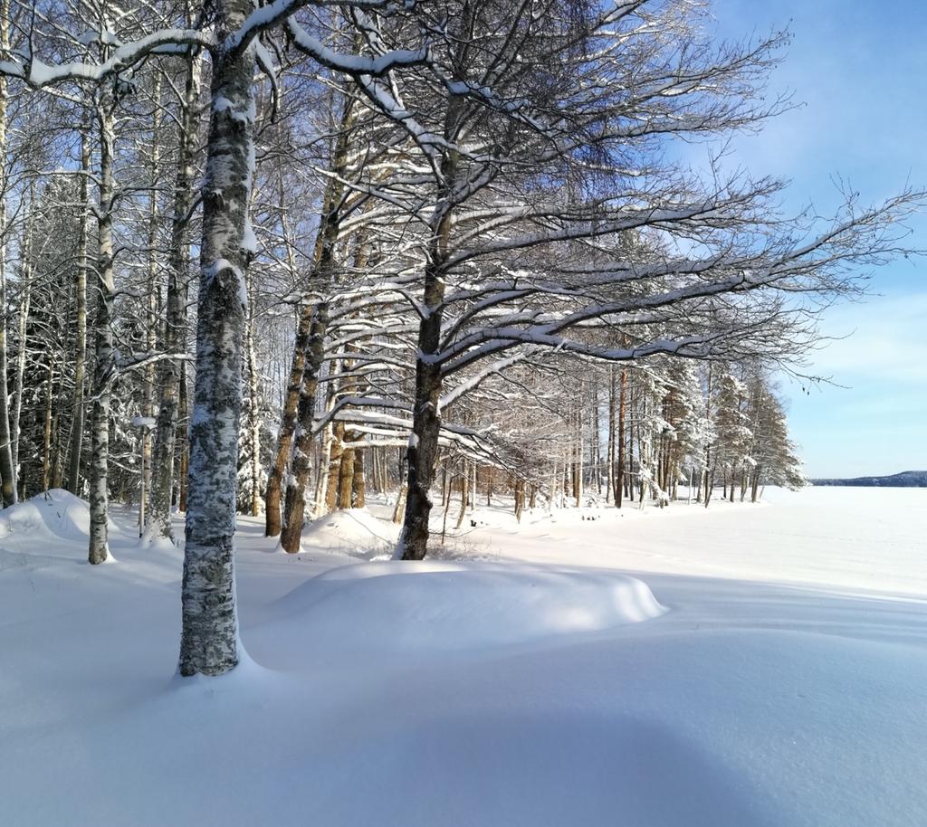 tuomitse minua siitä, vaan ymmärtävät, koska ovat itse kokeneet saman ja saaneet apua. Heidän kanssaan uskallan myös kokeilla uusien rajojeni lujuutta, sallivuutta, vahvuutta ja turvallisuutta.