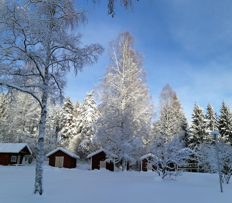 Tiedotteita Vuosittainen asiakokous pidettiin Alavudella, Vetämäjärven leirikeskuksessa 15 17.3.2019.