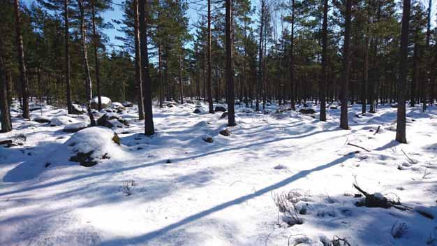 1 MAATUTKALUOTAUSTUTKIMUSRAPORTTI Hanko, Alue 2 Kuva linjalta 6 kohti Koverharia GWI-2018_021016/11.4.