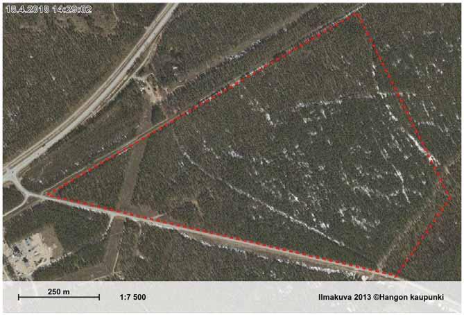 Rakennettavuusselvitys 2 / 4 Kuva 2 Ilmakuva kohteesta (lähde: Hangon kaupungin karttapalvelu) 2. POHJATUTKIMUKSET 2.