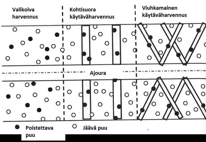 Käytäväharvennuksen kehittämishankkeen idea Käytäväharvennuksen soveltuvuutta paikallisiin hakkuuympäristöihin on selvitetty aikaisemmin Ruotsissa,