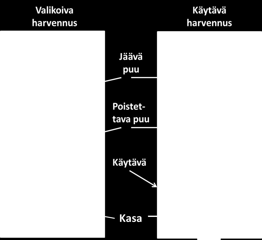 väistellä sivuittaisilla liikkeillä Mahdollistaa puiden jatkuvan kaadon käytävissä uusimmilla hakkuupää teknologioilla Puhtaasti