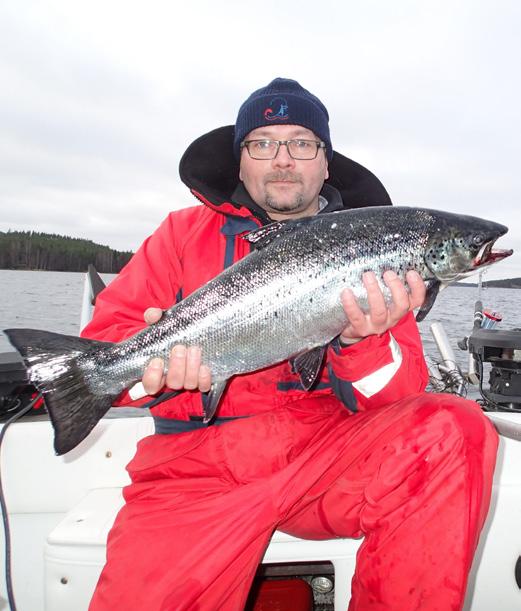 KALASTUSLAIN MUUTOKSET PUHUTTAVAT Petter Nissén Pohjois-Suomen kalatalouskonsulentti Suomen Vapaa-ajankalastajien Keskusjärjestö Kalastuslain uudistus on edennyt hitaasti, mutta varmasti kohti