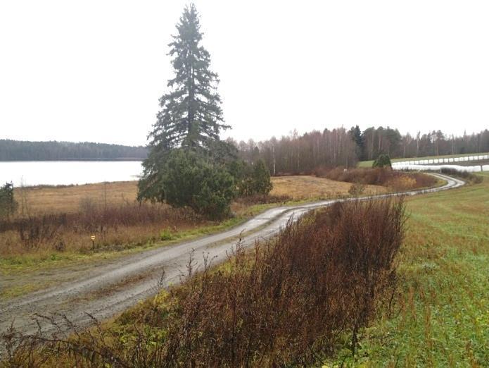 kaivettiin runsaasti koekuoppia. Kuvattu lounaaseen.