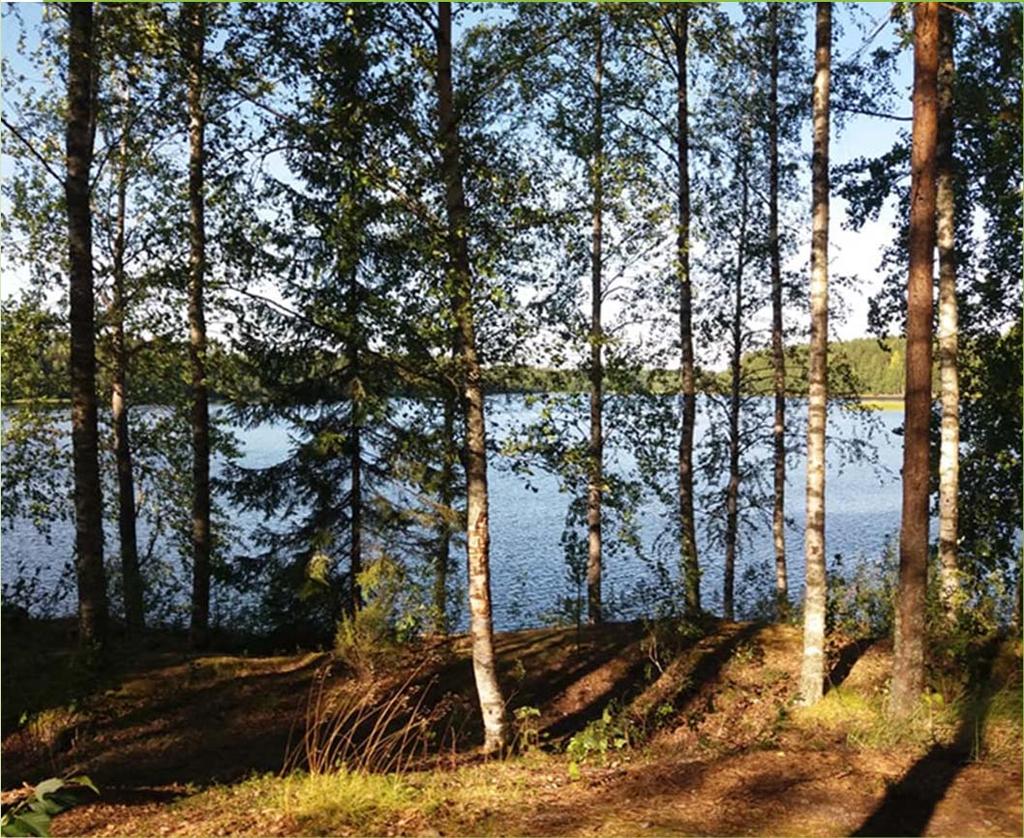 1. Fyysinen 2. Psyykkinen 3.