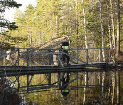 Nokian järvimaisemat kutsuvat tutustumaan luontoon.