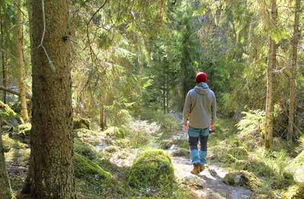 Reitti on helppokulkuinen ja 800 metriä pitkä. Auton voi jättää parkkiin Penttilänmäentielle.