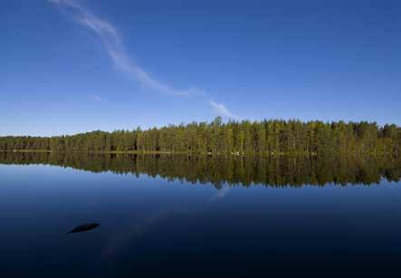 520453 Koukkujärventie Kivikesku Kivikesku on karu ja jopa erämaatunnelmainen järvi, jonne johtaa helppokulkuinen