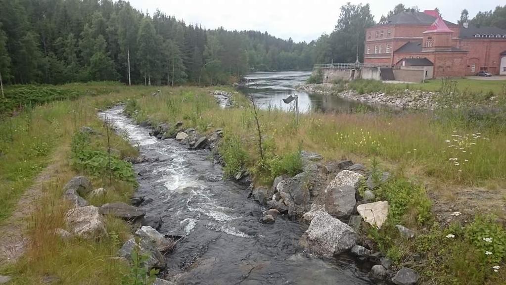 2019 Kalastusbilgi Teemu Hentinen