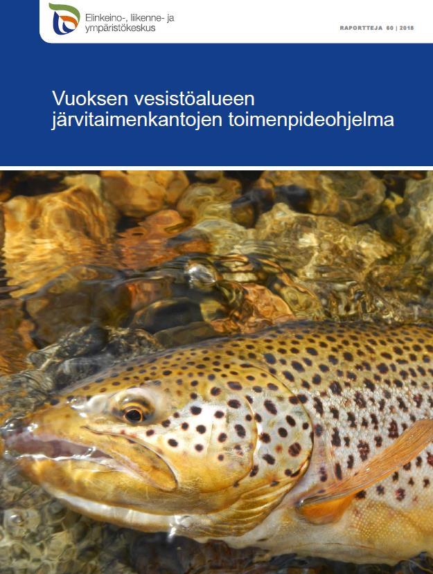 Vuksen järvitaimenkantjen timenpidehjelma Timenpide 2: Lisääntymis- ja pikastutantalueilla kielletään taimenen kalastaminen kknaan tai asetetaan vähintään alueellisia rauhitusalueita yhteistyössä