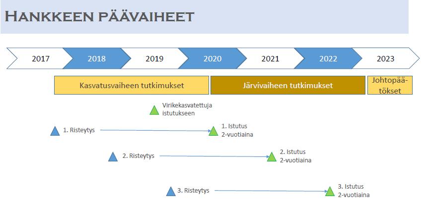 Elinvimainen järvilhi hanke 2017-22 - Saimaan järvilhen elvyttäminen mnimutisuutta lisäämällä Tavitteet Puulan kalastusalueen alitteesta Risteytetään Saimaan järvilhi mnimutisten lähikantjen kanssa.