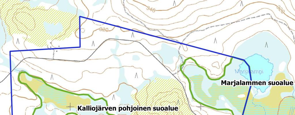 KAU44310 Kalliojärven luontoselvitys 9.10.2018 10/11 Kalliojärven rantakalliojyrkänteet kuuluvat luontotyyppiluokkiin valoisat kalliojyrkänteet, ylikaltevat seinämät sekä jyrkänteiden aluslohkareikot.