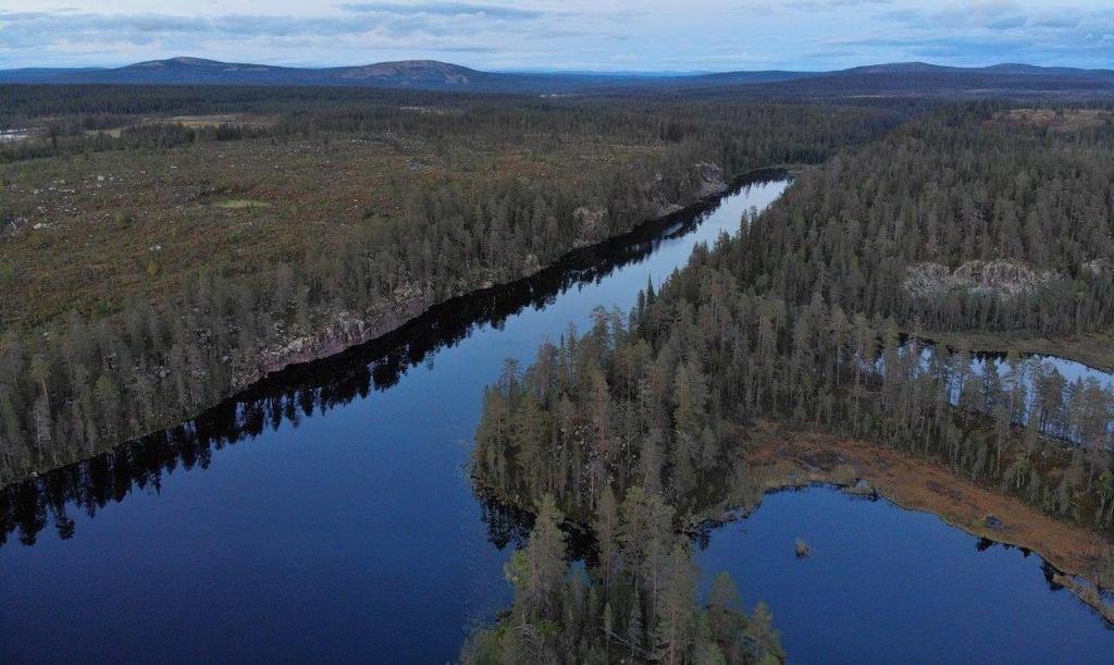 Kallioalueen arvoluokka on 4 neliasteikkoisessa luokituksessa, jossa luokka 1 on arvokkain.
