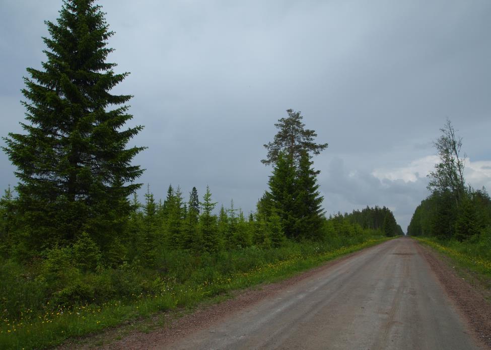 10 (27) Haapavesi - Rahkola FCG SUUNNITTELU JA TEKNIIKKA OY Kuva 5. Kuva hankealueelta. Hankealueen halki kulkee Kantokyläntie, jonka varressa on mm. eri-ikäisiä talousmetsän kuvioita. Kuva 6.