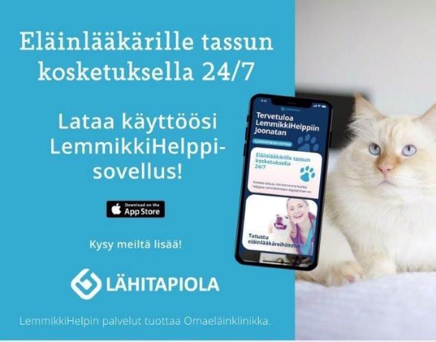 Hätäpalvelu 24h +358 8000 4531 Vesi- ja palovahinkojen