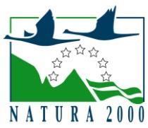 Nyt suunnittelun kohteena olevalta Natura-alueen osa-alueelta on Hertta/eliölajit -tietokantaan tallennettu aiemmin havaitut kantopaanusammalen (Calypogeia suecica) VU ja aarnisammalen (Schistostega