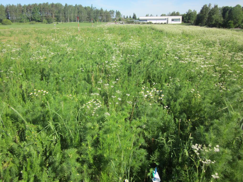 VÄKILANNOITE Kumina