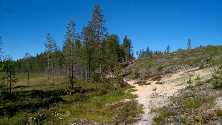 13/38 Pohjavesialueilla B, C ja D tehtiin maastotarkasteluja, joiden perusteella alueet kohoavat ympäristöstään hieman vähemmän kuin A, minkä lisäksi geomorfologisia ominaispiirteitä, kuten suppia,