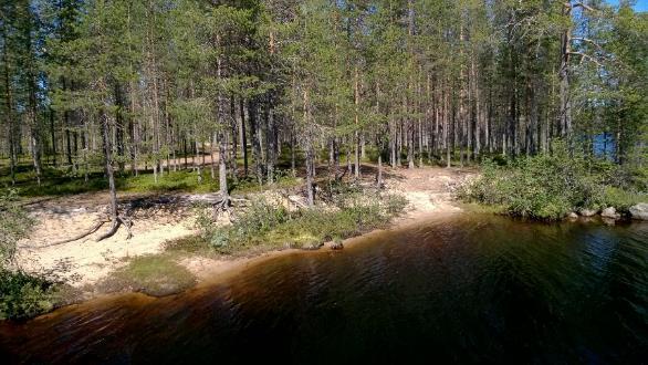 26/38 maastotarkastelu kesäkuussa 2018. Sen perusteella alueen muodostavat hydrogeologisen kokonaisuuden ja ne tulee siten yhdistää.