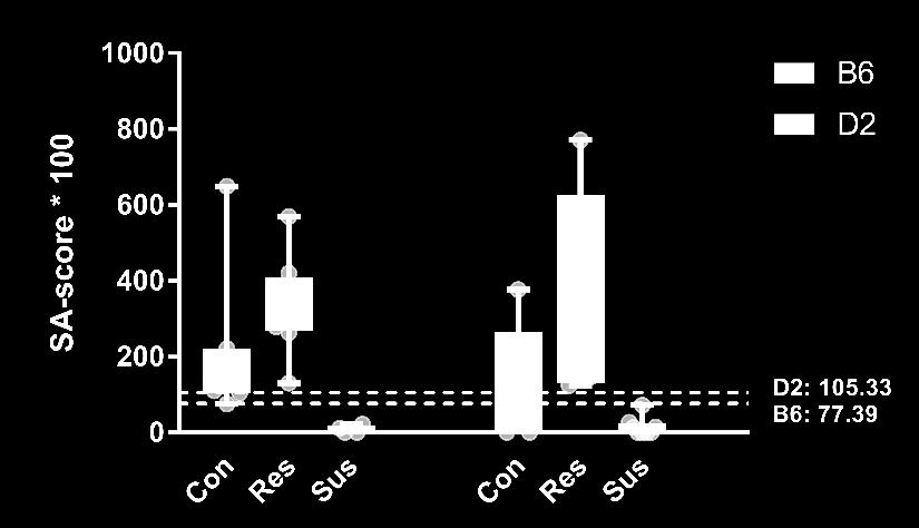 Figure 2.1. Social avoidance scores and borders for B6 and D2 strains that are used in this study. The border lines are adjusted by the scores of the control mice within each strain.