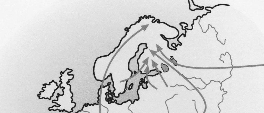 Sivu 7 tulleet idästä ja Iivarin pojat lännestä eli noin 65 % miehistä on arveltu tulleen Suomeen itäistä reittiä ja noin 35 % läntistä reittiä. Niilon pojat ovat niin kutsuttuja mammutinmetsästäjiä.