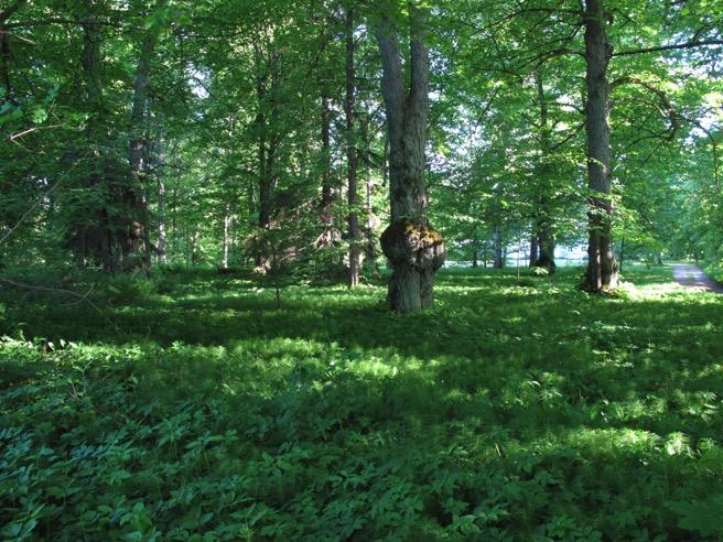 Helsingin Laajasalon itärannan asemakaavaalueen, hybridikorttelin ja Reposalmen alueen