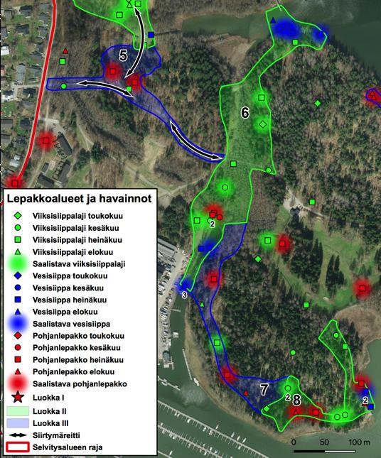 Kartta 9. Selvitysalueen keskiosassa todetut lepakkoalueet 5-8. Alue 10 (kartta 10) Repossaaressa havaittiin paljon lepakoita ja alue on ehdottomasti yksi selvityksen parhaimmista.