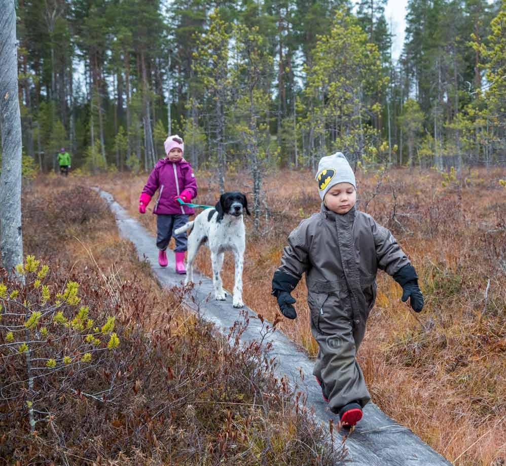 Yrittäjämäisen toimintakulttuurin rakentaminen Lieksassa Yrittäjämäinen toimintakulttuuri muodostuu yrittämiseen kannustavasta pedagogisesta johtajuudesta, avoimuudesta, ja opetushenkilöstön