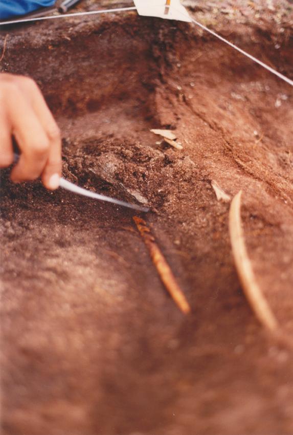 Siulequt Aasivissuit - Nipisat, Sermersuup immallu akornanni Inuit Piniarfii -nut ingerlatsivigineqarnissaanut pilersaarut, nunarsuarmioqatigiinnut kingornussassatut qinnutigineqartumi kulturikkut