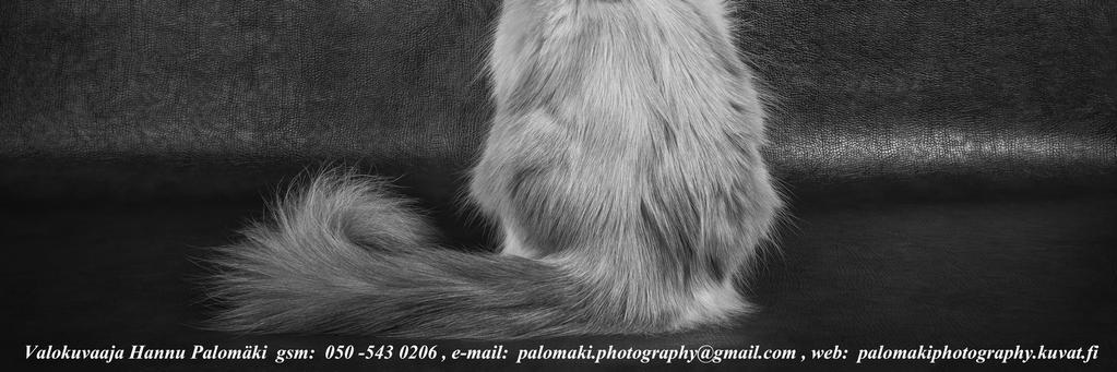 Ruskeatabbynaamio Bicolour (SYS n 03 21) (HCL) 351 M GIC HU*Shagio-Chen Palatinus --------------------------------------------------------- (SYS n 03 21) 19.4.