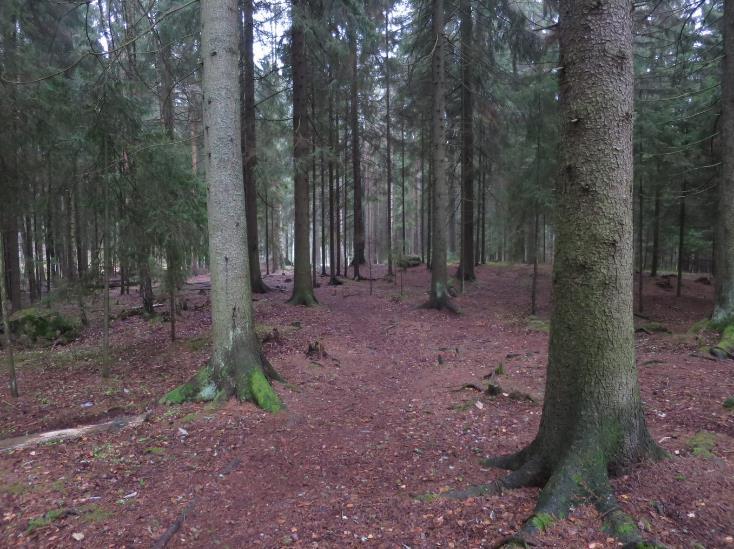 Alue ei sijaitse pohjavesialueella. Alueen metsä on tiheäpuustoista kuusikkoa, jossa kasvaa sekapuuna mäntyä ja koivua. Alueelta ei tunneta merkittäviä luontokohteita.