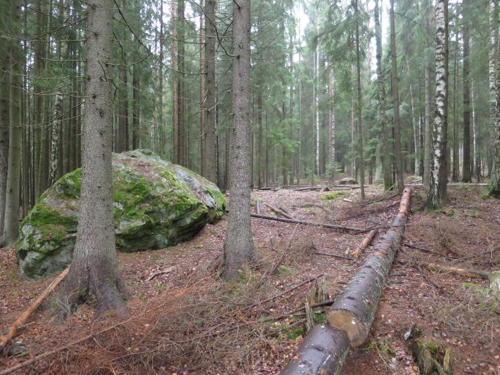 Lisäksi Nissaksenpuistossa suunnittelualueen läheisyydessä sijaitsee muutamia merkittäviä siirtolohkareita (lähin n. 90 m etäisyydellä).