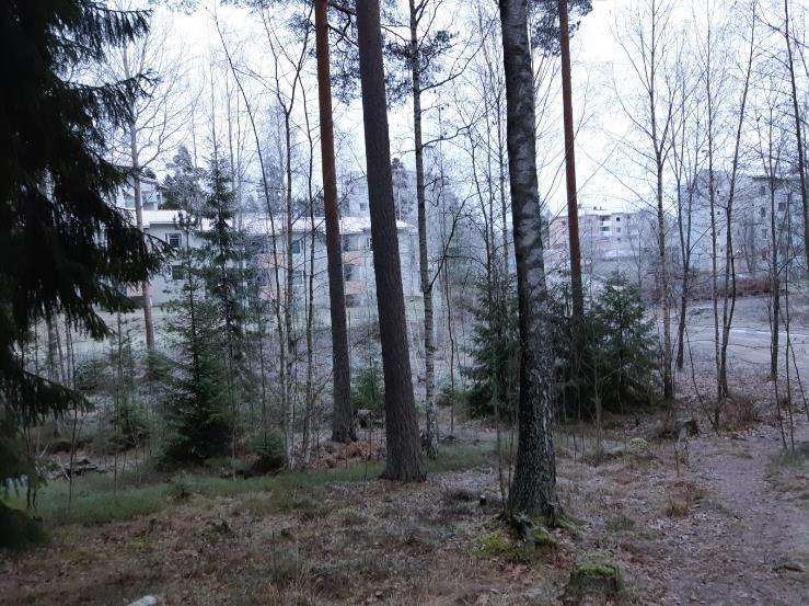 Vasemmalla suunnittelualueen komea siirtolohkare, oikealla näkymä suunnittelualueen ulkopuolelta kallioselänteeltä kohti suunnittelualueen pohjoisosaa ja naapuriasuinaluetta.