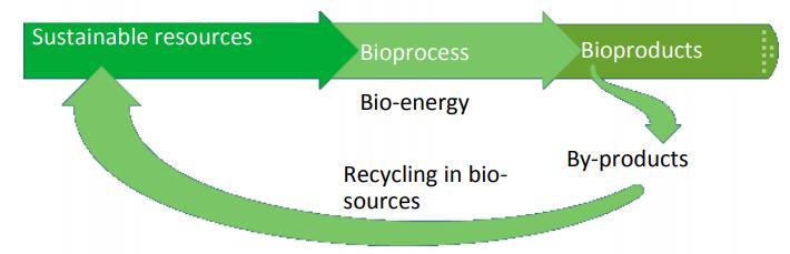 Biopohjainen talous biotalous Economy which is based on using
