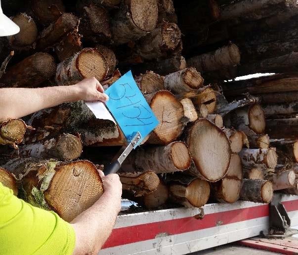 PUUAUTOT Autot varaavat purkuajan tehtaalle purkuaika.metsaforest.fi osoitteessa. Purkuaikasovelluksen tunnukset tilataan mitta asemalta (pave@metsagroup.fi).