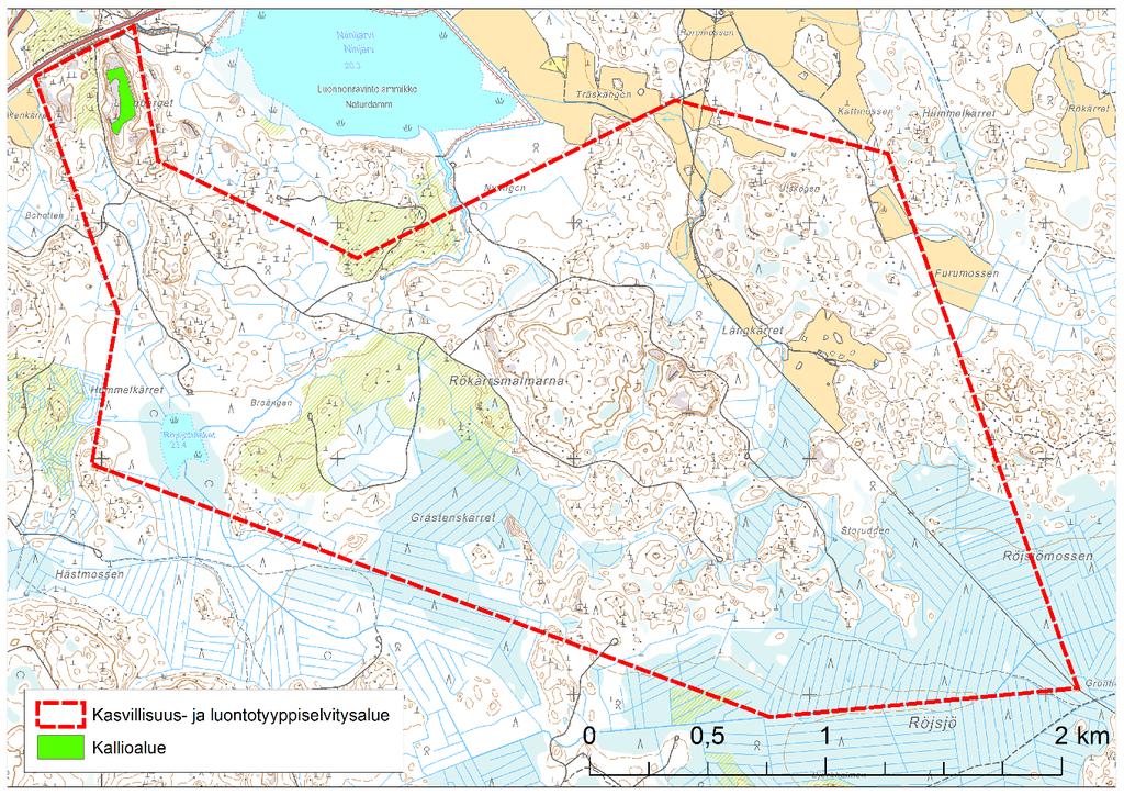 Kallioalueen laki on karukkokankaita puuntuotannollisesti vähätuottoisempi kallio, jonka ominaispiirteenä on harvahko puusto (kuva