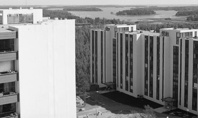 Museovirasto, Musketti Kuva: