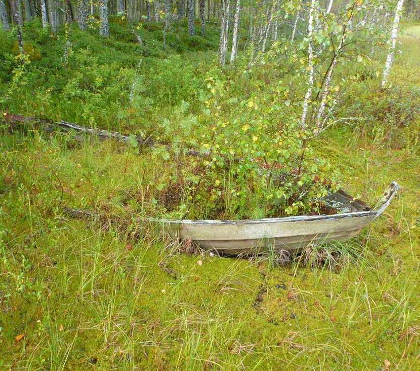 Geologian tutkimuskeskus 2018 Turpeen