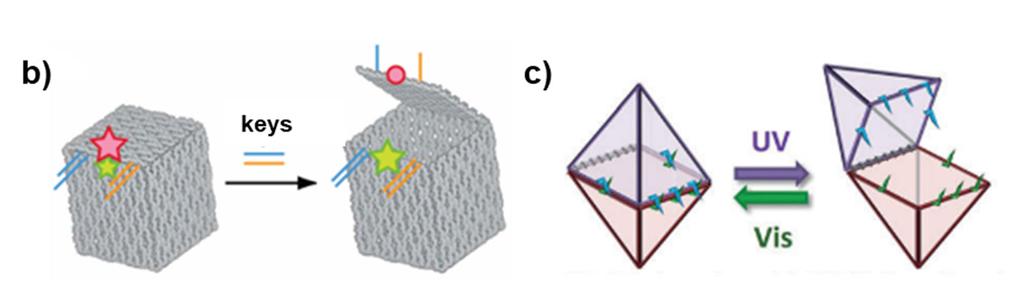 Multitude of dynamic encapsulation devices exist that respond to stimuli other than ph.