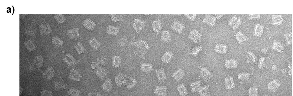 Figure A3: TEM images of