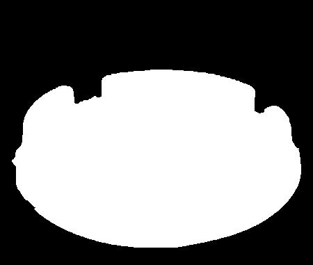 KOIRA 1.47 x 1.