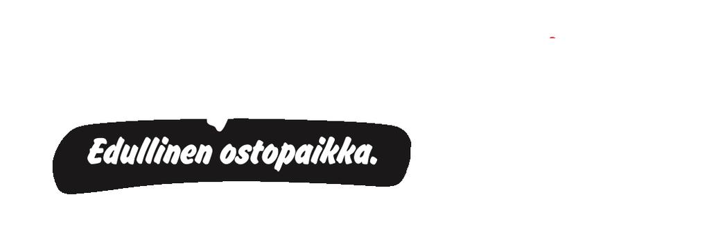 TARMO RASTASVERKKO 4x5 m
