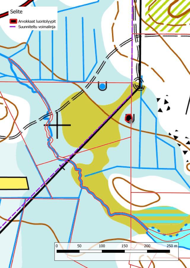 11 Kuva 11 Heinäkangas-Ylimmäinenlammen arvokkaat luontokohteet ja lajit. Vasemman puoleisessa kartassa on kohde 1 eli meso-eutrofinen lähde.