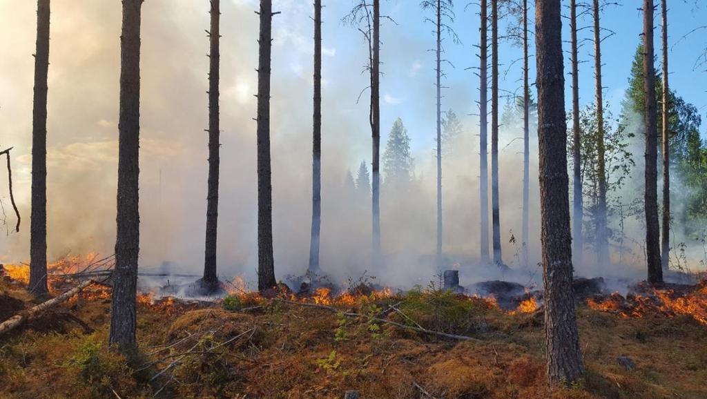 Kesään liittyy paljon perinteitä, joihin kuuluvat muun muassa joka keskiviikko Vanhassa ruokalassa järjestettävät bileet vaihtelevilla teemoilla.