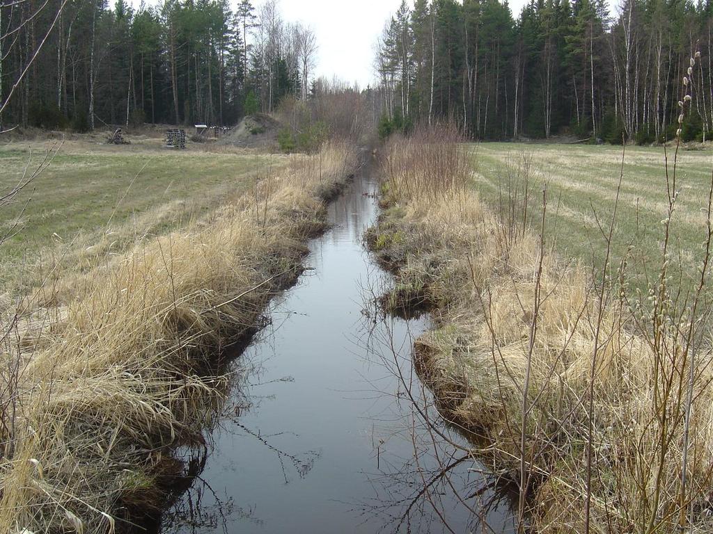 11 virtaussuunta Kuva 7. Näkymä tilustien sillalta alavirtaan (tilalle Vuorela johtava tie) 28.4.2008. Vesi on lähes pellonpinnan tasossa. Kuvassa 8. on kuvattu Tukkikosken niska-aluetta.